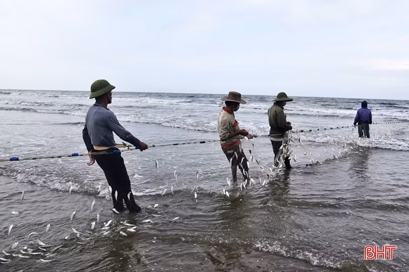 Ngư dân Hà Tĩnh vươn khơi, đánh bắt gần 3.300 tấn hải sản