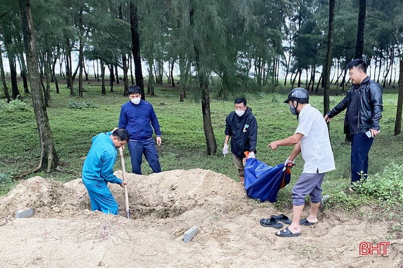 Xác cá voi liên tiếp trôi dạt vào bờ biển Nghi Xuân