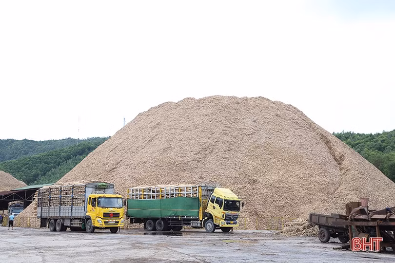 Mặt hàng nào đưa kim ngạch xuất khẩu của Hà Tĩnh tăng gần 45%?