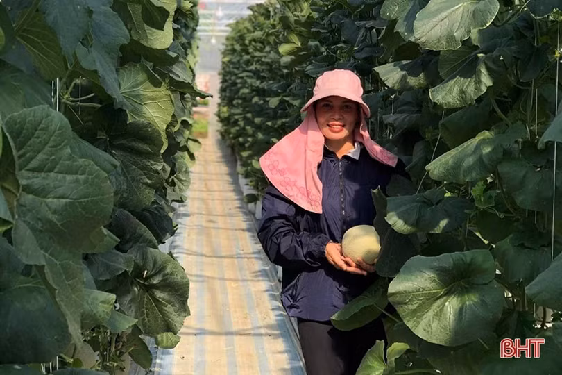 Nữ giám đốc hợp tác xã năng động, làm kinh tế giỏi