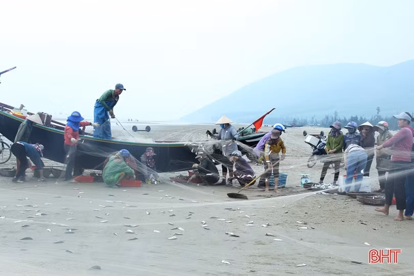 Ngư dân Hà Tĩnh vươn khơi, đánh bắt gần 3.300 tấn hải sản