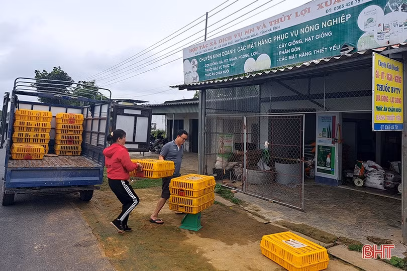 Nữ giám đốc hợp tác xã năng động, làm kinh tế giỏi