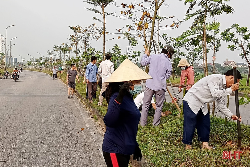 Trung tâm Ứng dụng tiến bộ KH&CN hỗ trợ TP Hà Tĩnh 1.000 cây xanh