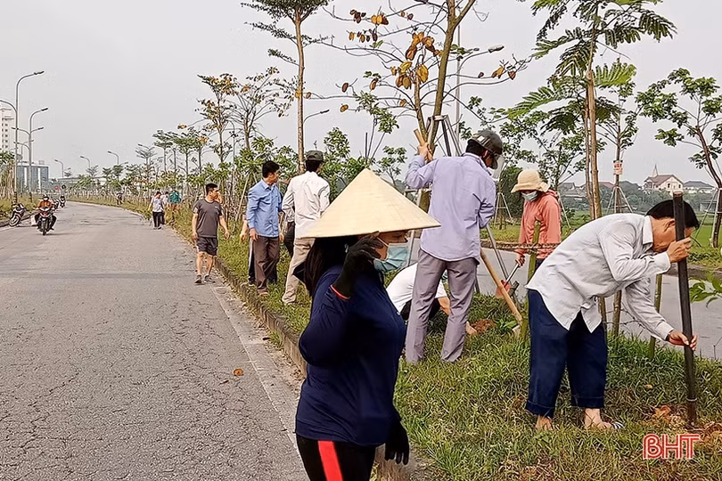 Trung tâm Ứng dụng tiến bộ KH&CN hỗ trợ TP Hà Tĩnh 1.000 cây xanh