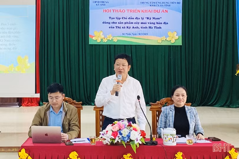 Tạo lập chỉ dẫn địa lý cho cây mai vàng Kỳ Nam