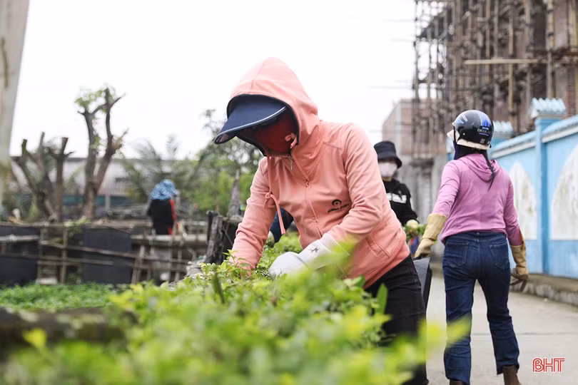 TX Kỳ Anh huy động hơn 500 người hỗ trợ 2 xã xây dựng nông thôn mới nâng cao