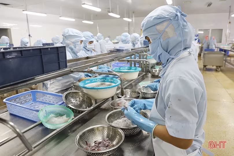 Mặt hàng nào đưa kim ngạch xuất khẩu của Hà Tĩnh tăng gần 45%?