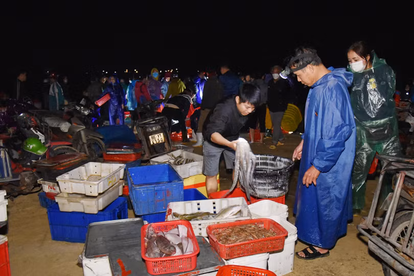 Ngư dân Hà Tĩnh vươn khơi, đánh bắt gần 3.300 tấn hải sản