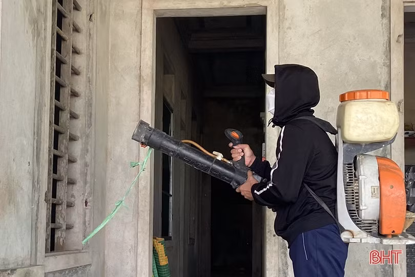 Bác sỹ CDC Hà Tĩnh khuyến cáo những nguy hiểm do bọ chét gây ra