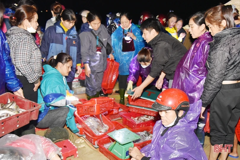 Ngư dân Hà Tĩnh vươn khơi, đánh bắt gần 3.300 tấn hải sản