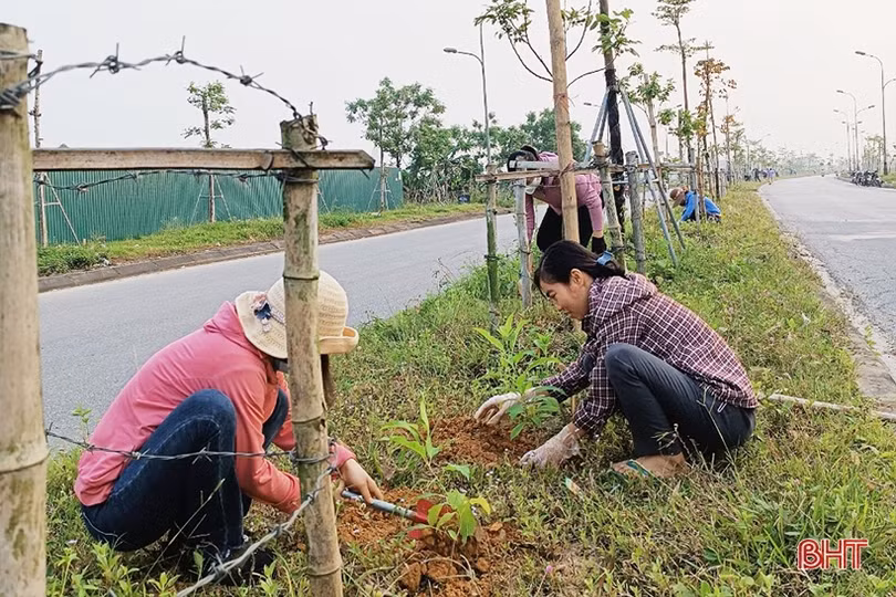 Trung tâm Ứng dụng tiến bộ KH&CN hỗ trợ TP Hà Tĩnh 1.000 cây xanh