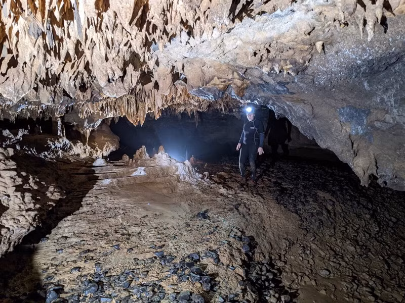 Phát hiện thêm hệ thống hang động với thạch nhũ độc đáo ở Quảng Bình