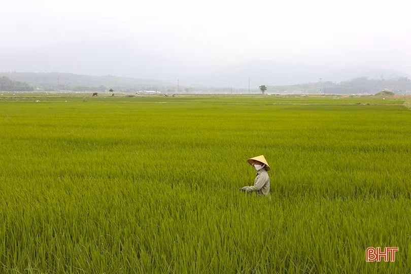 Sắc màu tháng tư trên quê hương Hà Tĩnh