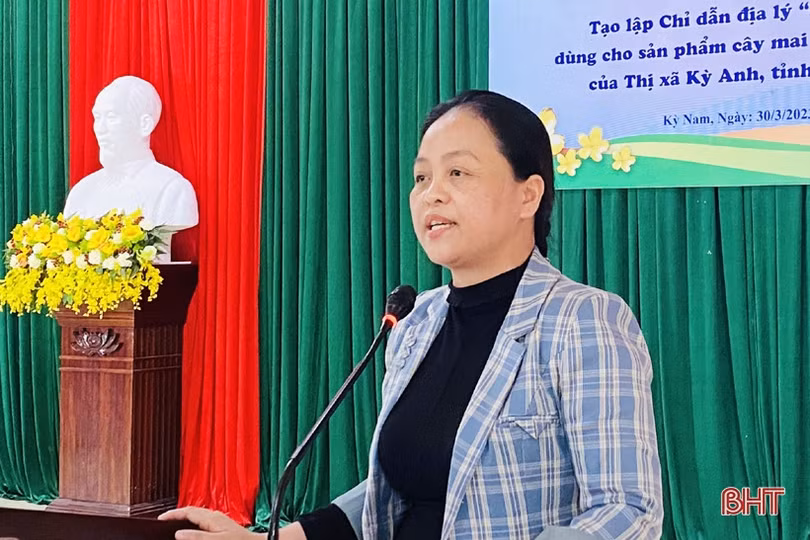 Tạo lập chỉ dẫn địa lý cho cây mai vàng Kỳ Nam