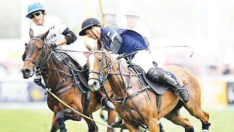 Môn Polo phát triển mạnh nhất ở các nước Argentina, Brazil, Mexico, Anh và Mỹ