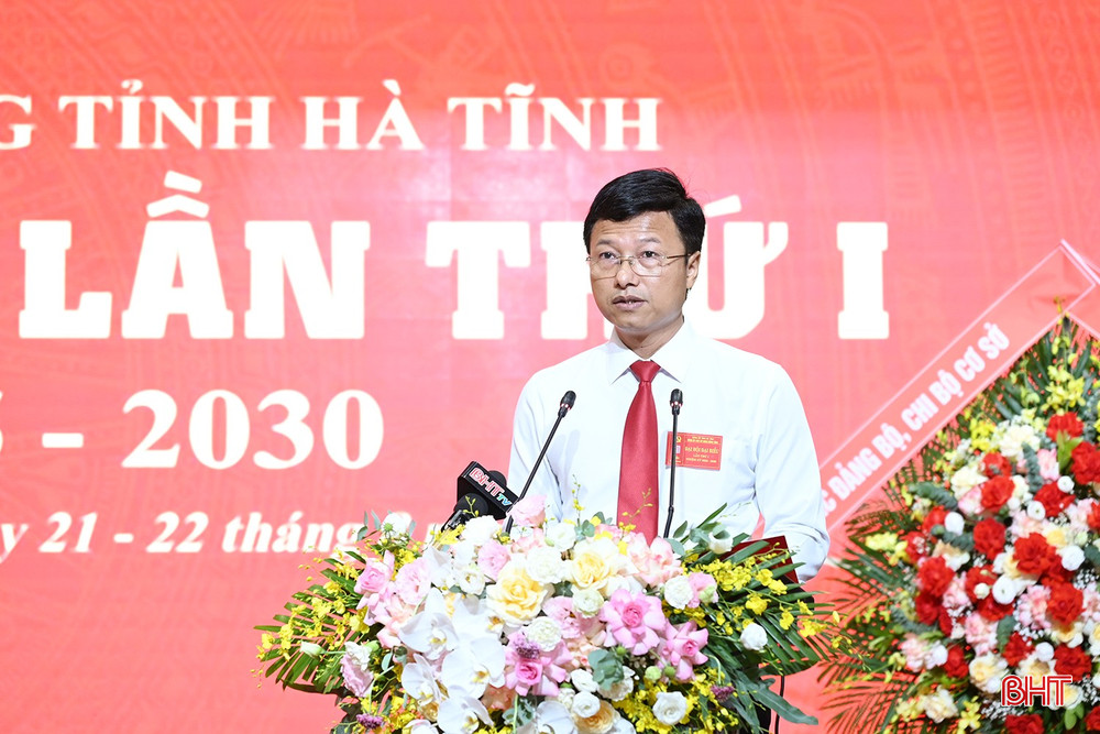 Đồng chí Phan Duy Vĩnh - Ủy viên Ban Thường vụ Đảng ủy CCQ Đảng tỉnh, Chánh Văn phòng Tỉnh ủy tham luận. bqbht_br_dsc-311d8.jpg