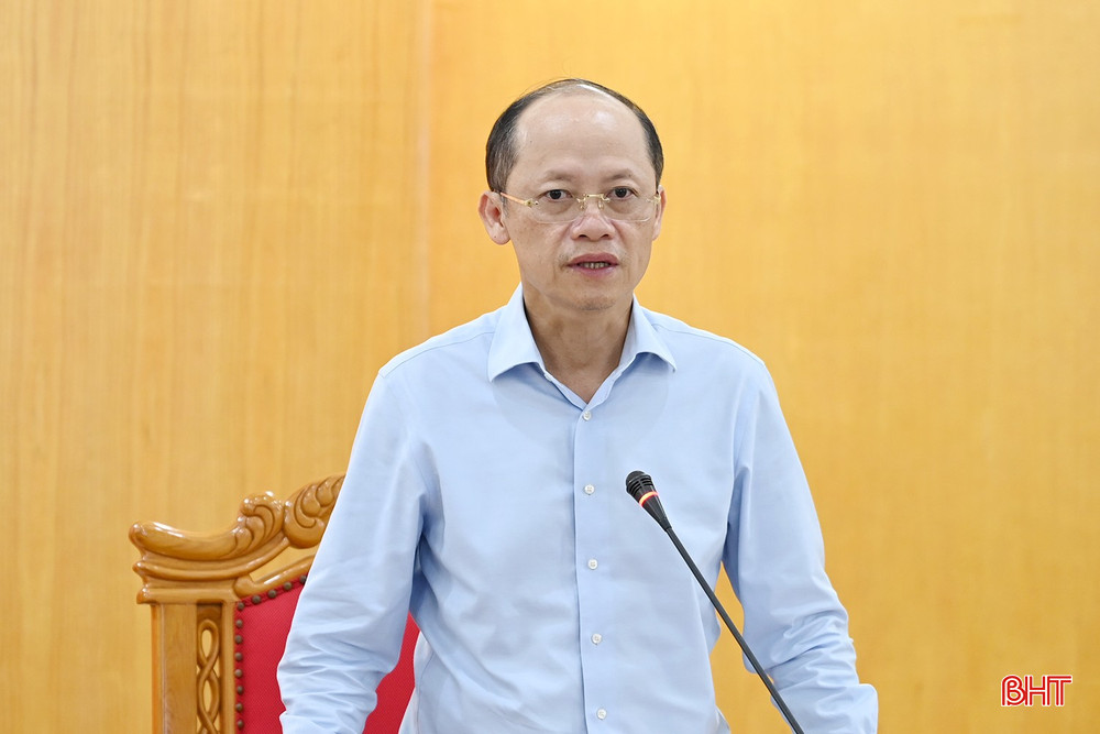 Phó Chủ tịch Thường trực UBND tỉnh Nguyễn Hồng Lĩnh kết luận cuộc họp bqbht_br_dsc-d0103.jpg