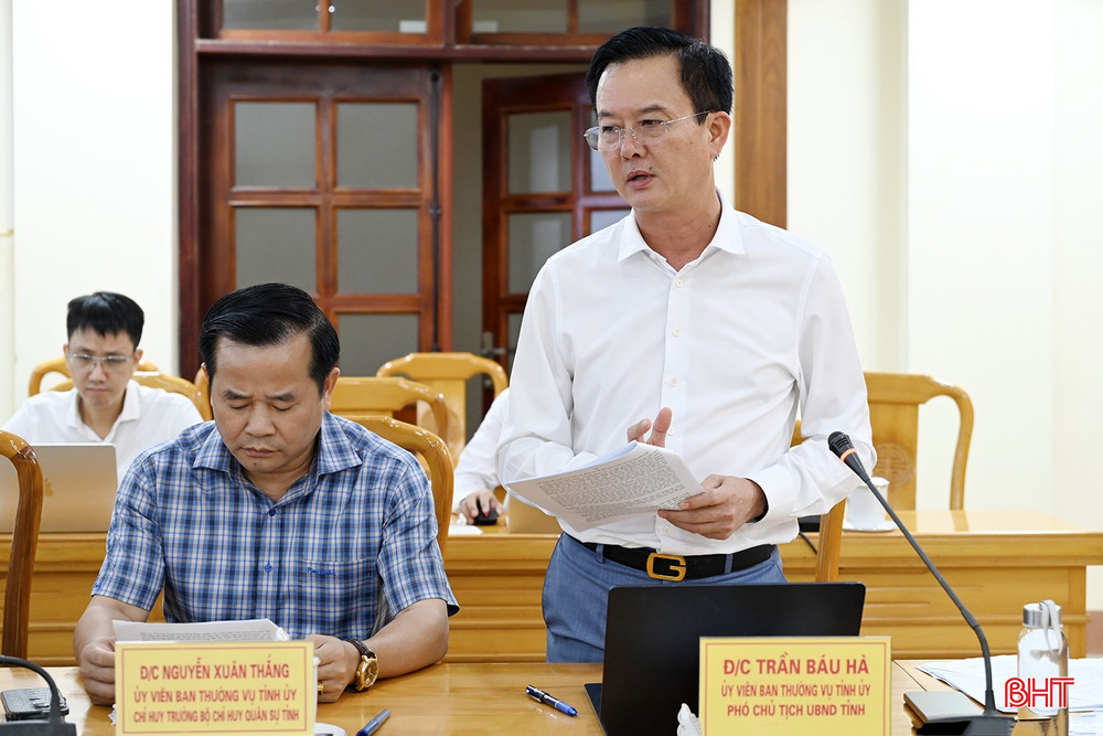 ...và Phó Chủ tịch UBND tỉnh Trần Báu Hà phát biểu tại cuộc họp. bqbht_br_dsca-0182.jpg