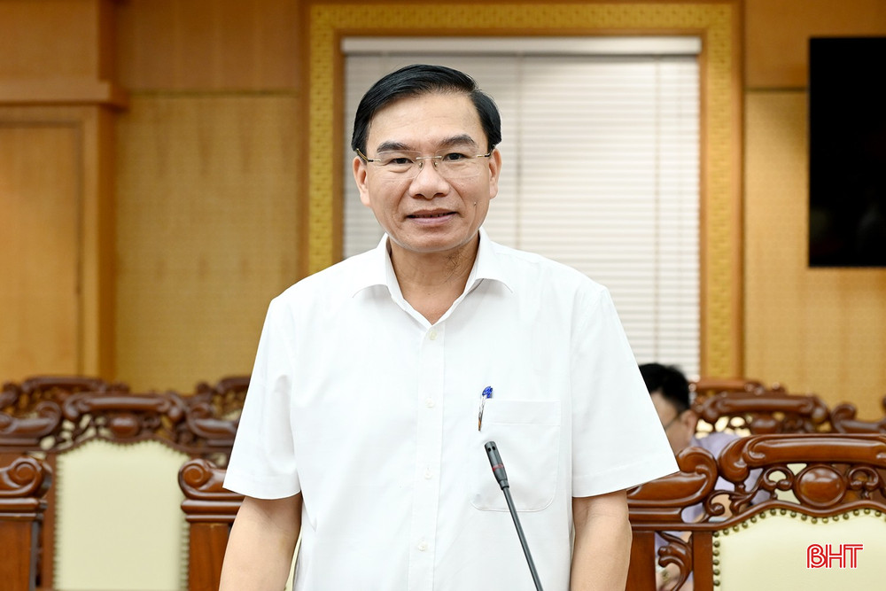 Phó Giám đốc Sở VH-TT&DL Trần Xuân Lương báo cáo tiến độ triển khai phần việc. bqbht_br_dsc-246d4.jpg