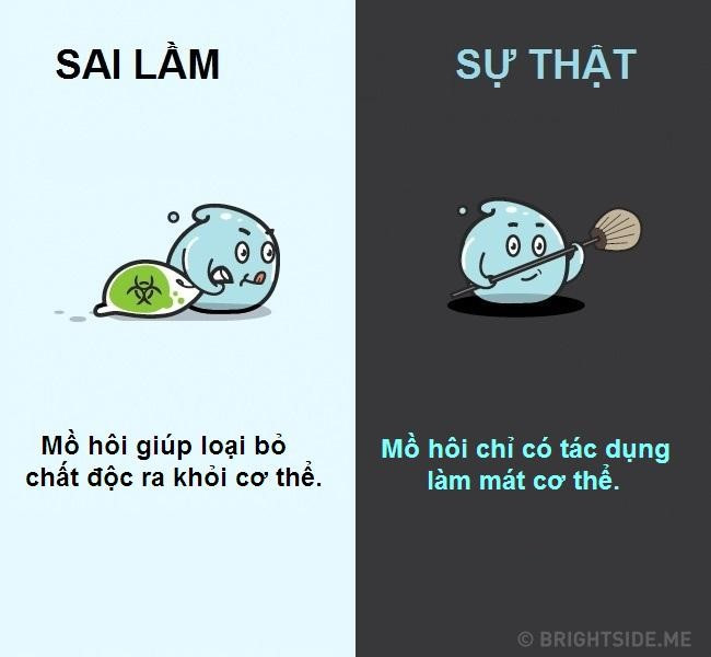 10 quan niem sai lam pho bien ve co the nguoi