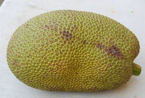 cach don gian nhan biet mit chin cay khong ngam hoa chat