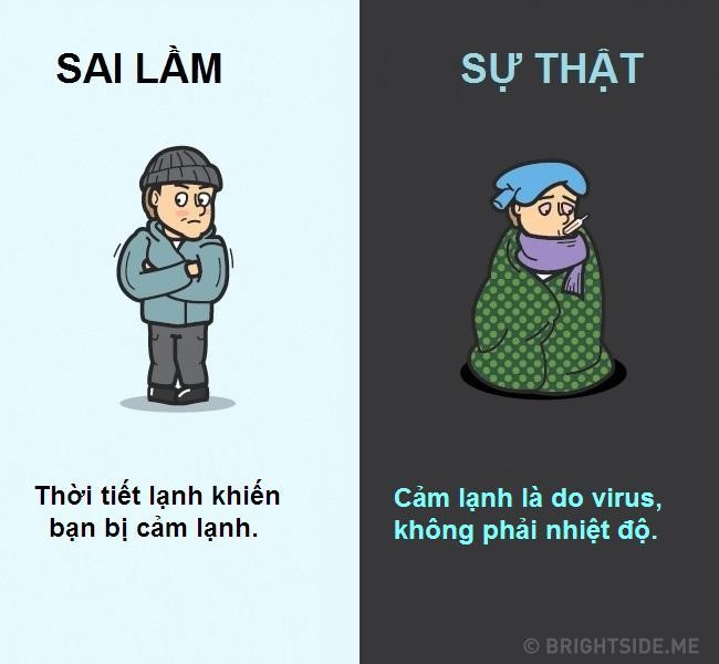 10 quan niem sai lam pho bien ve co the nguoi