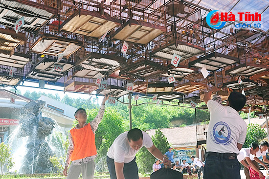 chim chao mao dau hot tren pho nui huong son