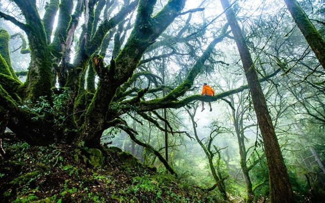 nhung ly do ngot ngao nhat de xach ba lo len va di