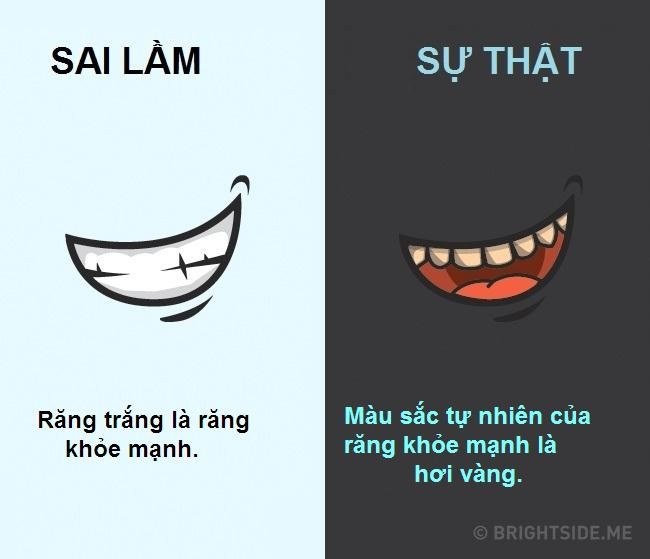 10 quan niem sai lam pho bien ve co the nguoi