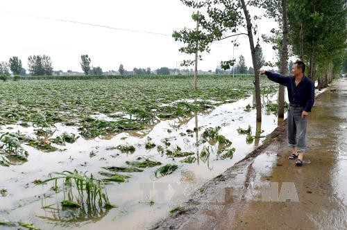 hon 110 nguoi chet va mat tich do bao o trung quoc