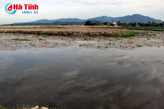 nam thanh nien chet duoi khi tam song