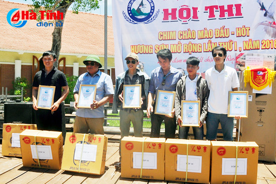 chim chao mao dau hot tren pho nui huong son