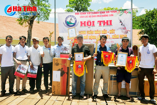 chim chao mao dau hot tren pho nui huong son