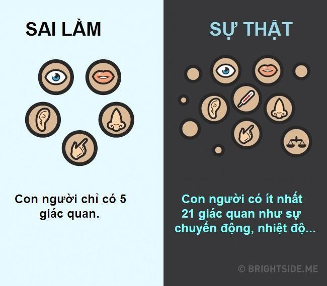 10 quan niem sai lam pho bien ve co the nguoi