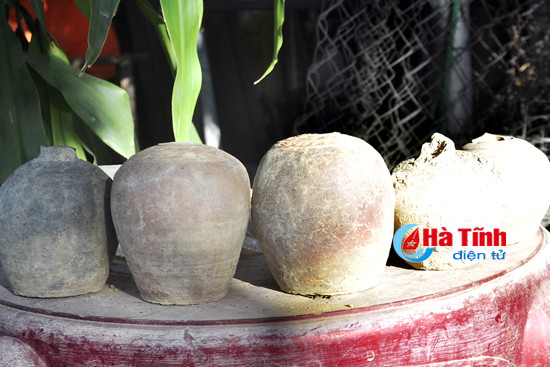 dao mong nha phat hien binh voi co