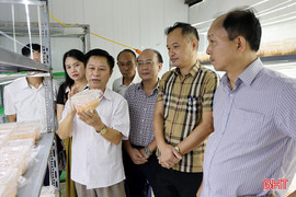 Hà Tĩnh có 8 sản phẩm đề xuất đánh giá, phân hạng sản phẩm OCOP 4 sao