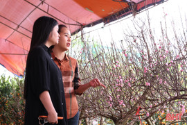 Cây cảnh về làng, nông thôn Hà Tĩnh rộn ràng trước Tết