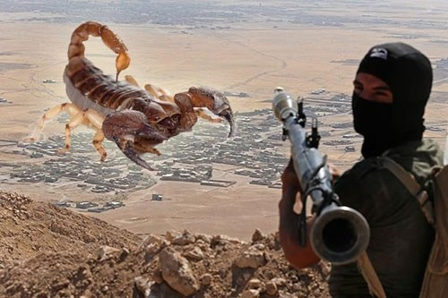 IS dội bom bọ cạp khủng bố Iraq ảnh 1