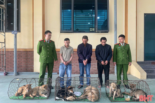 Bắt nhóm “cẩu tặc” trang bị súng điện, hung khí nguy hiểm