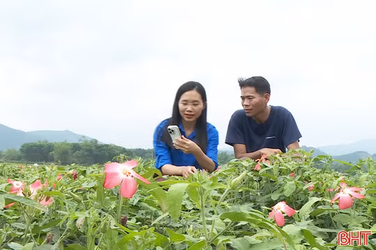 Tuổi trẻ Hà Tĩnh tiên phong chuyển đổi số