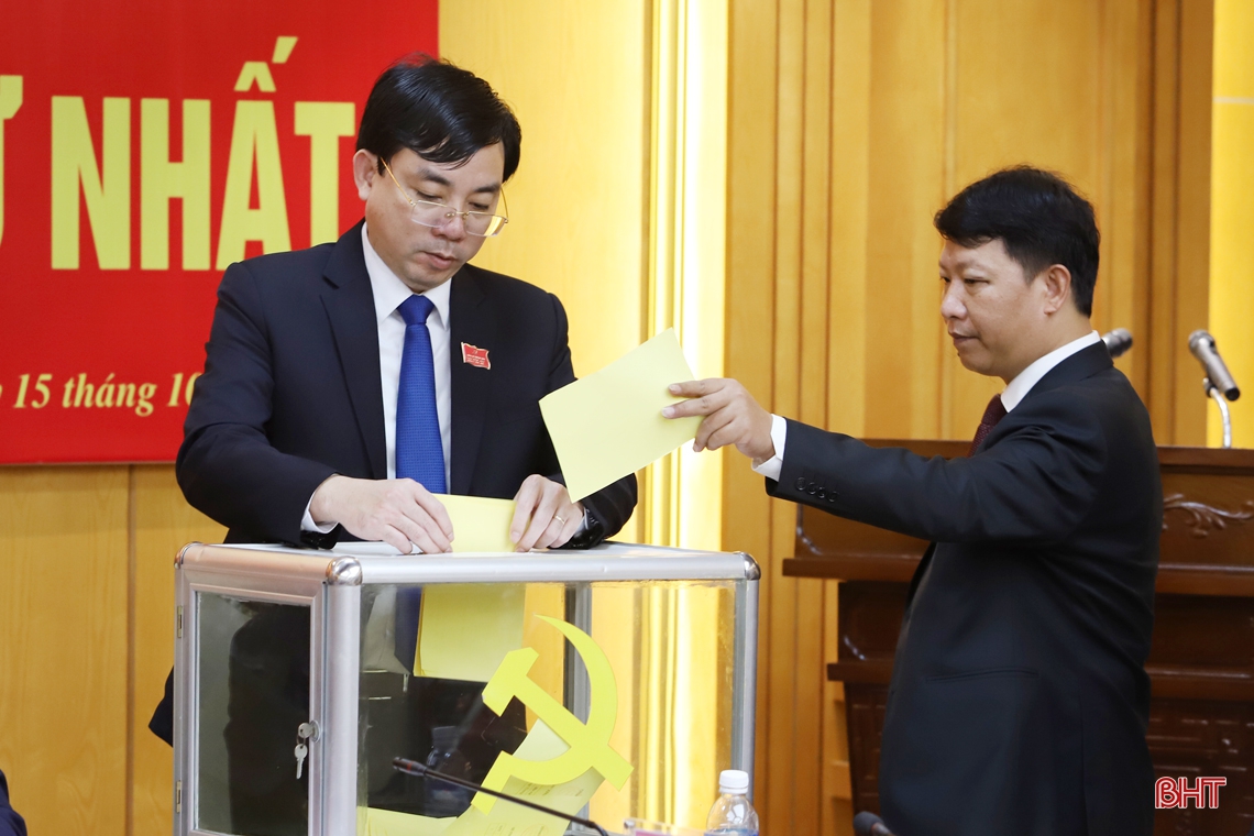 Hội nghị lần thứ nhất Ban Chấp hành Đảng bộ tỉnh Hà Tĩnh khóa XIX