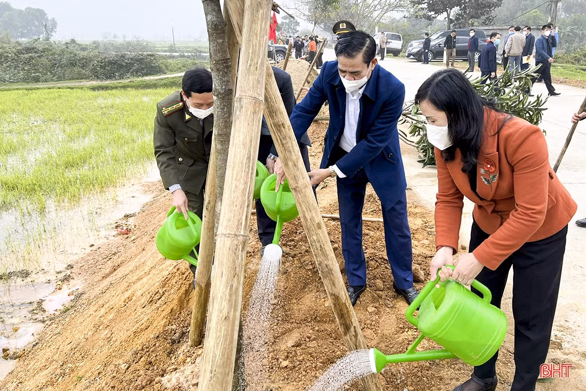 Chủ tịch UBND tỉnh Hà Tĩnh tham gia trồng cây tại các địa phương