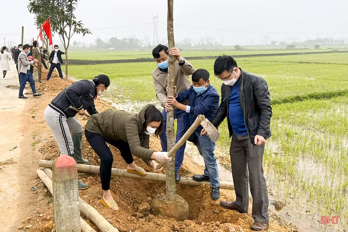 Chủ tịch UBND tỉnh Hà Tĩnh tham gia trồng cây tại các địa phương