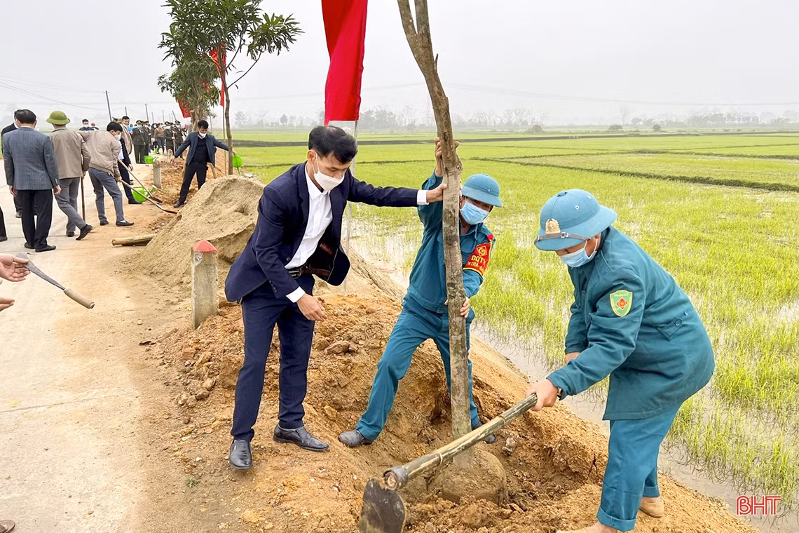 Chủ tịch UBND tỉnh Hà Tĩnh tham gia trồng cây tại các địa phương