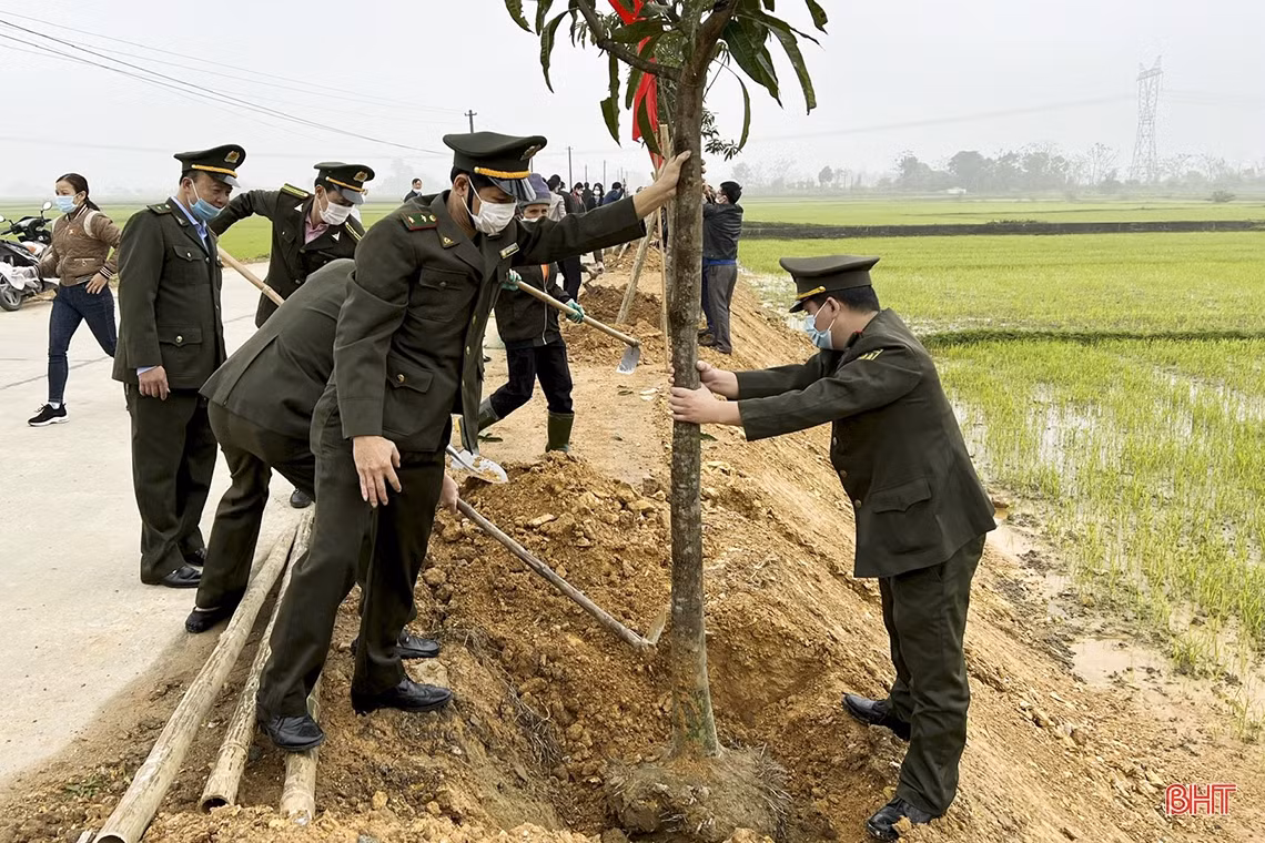 Chủ tịch UBND tỉnh Hà Tĩnh tham gia trồng cây tại các địa phương