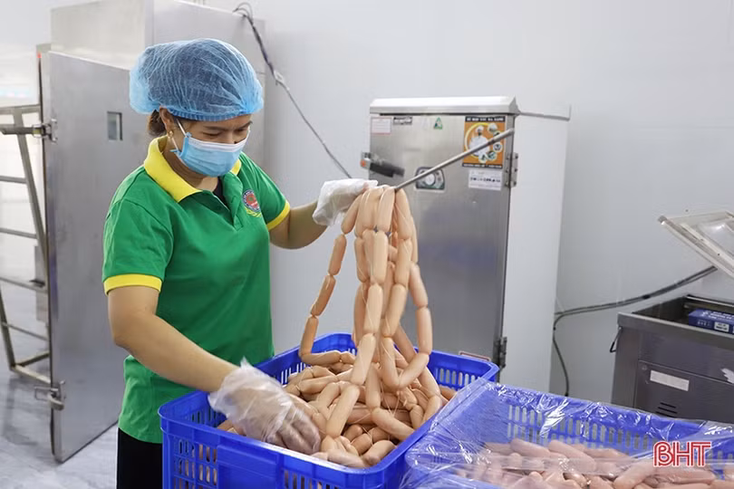 Xúc tiến thương mại - “bệ phóng” cho sản phẩm tiêu biểu Hà Tĩnh