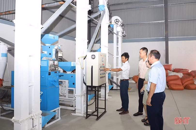 Xúc tiến thương mại - “bệ phóng” cho sản phẩm tiêu biểu Hà Tĩnh