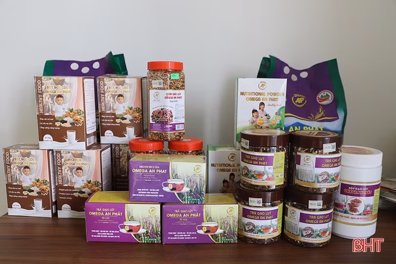 Xúc tiến thương mại - “bệ phóng” cho sản phẩm tiêu biểu Hà Tĩnh