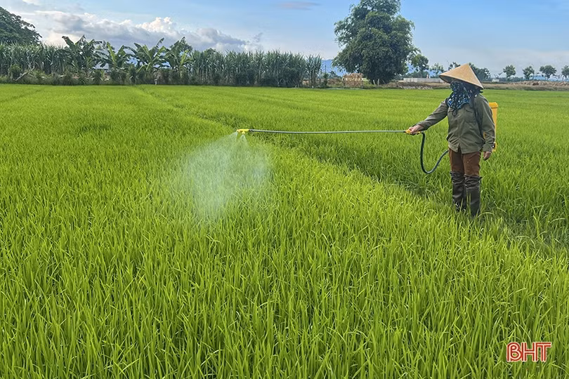 Ruộng đồng Hà Tĩnh được “giải khát”