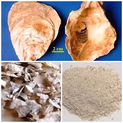 Bài thuốc chữa mồ hôi ra quá nhiều